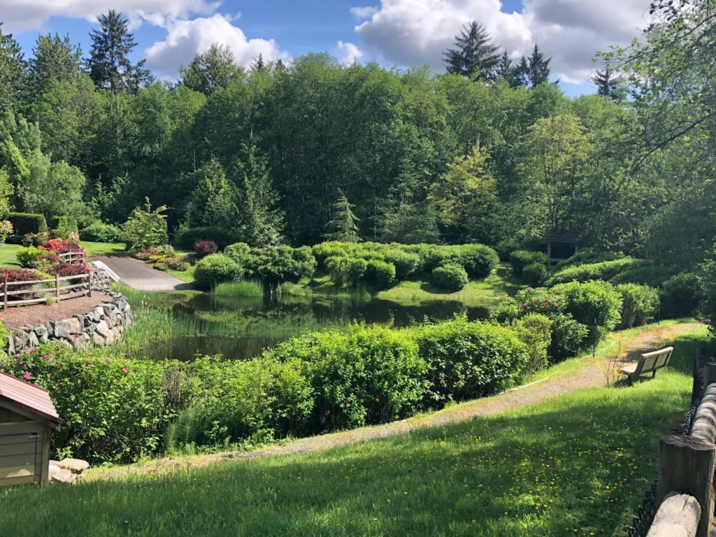 north creek trail from mill creek